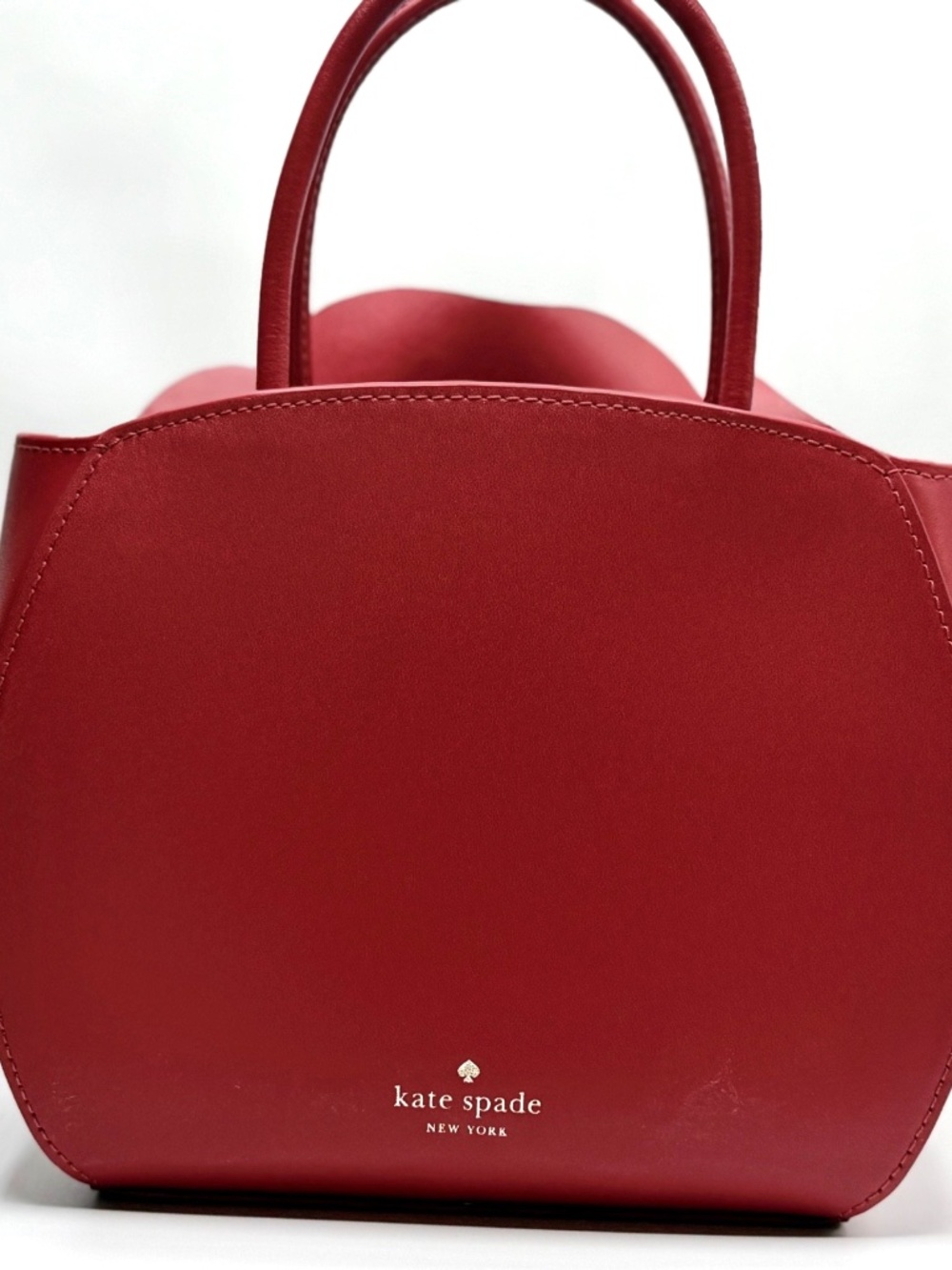 Kate Spade Flora 3D Rose Crossbody Bag Red Alice in Wonderland Holiday RARE - Picture 5 of 10